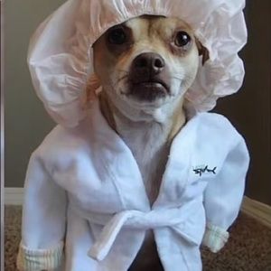 Meet your Posher, Nolan